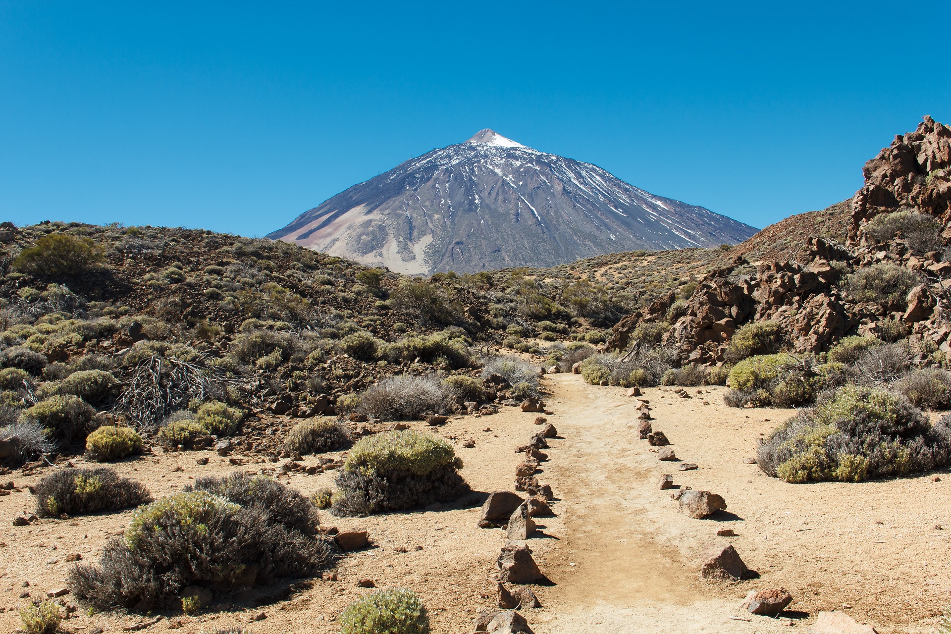 Teide wine route