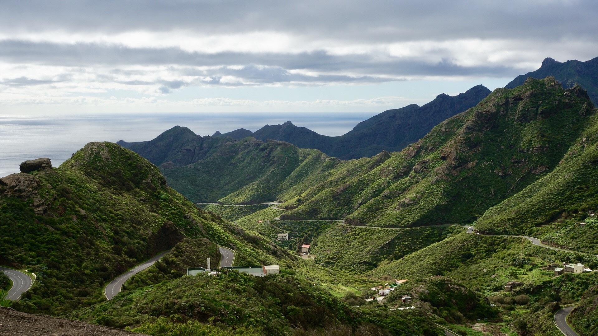 Tenerife vine valley