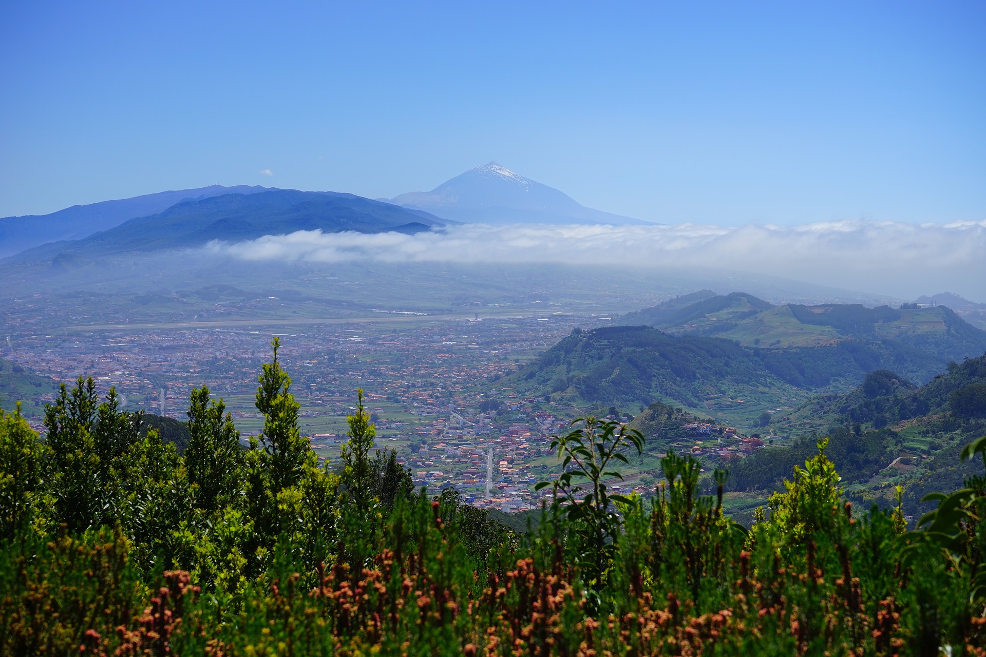 volcanoes in tenerife, how they influeve our vinyards